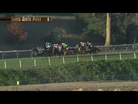 Monrovia Stakes (Gr. II) - Sunday, January 4 2015 HD