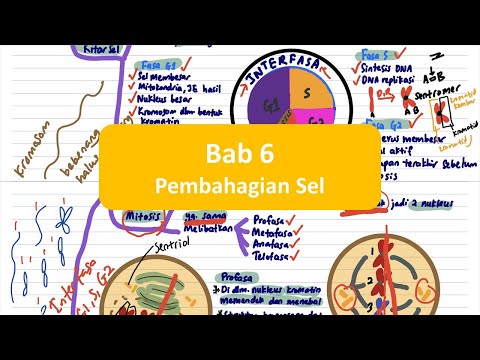 BIOLOGI SPM T4- Bab 6 Pembahagian Sel