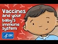 How Do Vaccines Help Babies Fight Infections How Vaccines Work