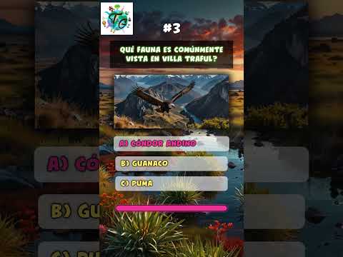 Este quiz de Patagonia es más difícil de lo que crees 🔥 #Desafío #Argentina