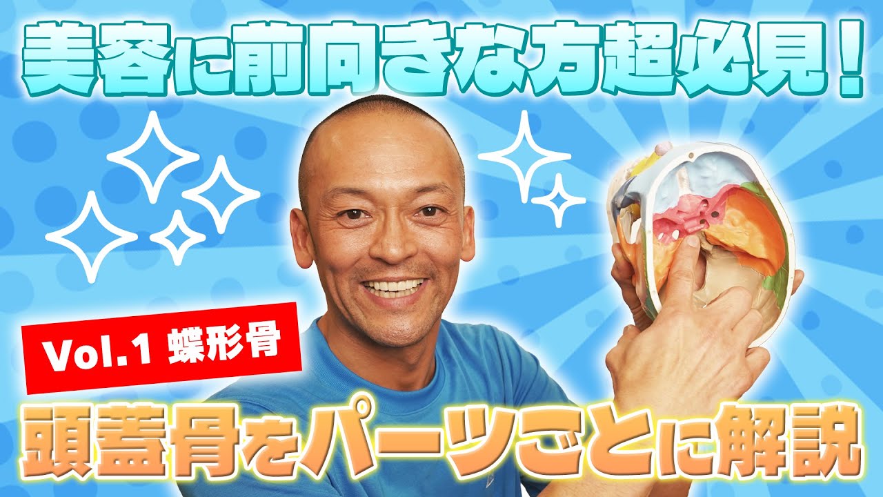 美容に前向きな方超必見！頭蓋骨をパーツごとに解説！Vol.1 蝶形骨