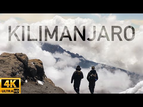 Hiking Kilimanjaro via Lemosho Route (2024)