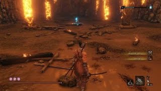 SEKIRO™　義父戦　ネタバレ回避推奨