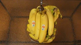 craziest banana and fruit stand review, completely random re
