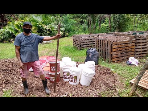 Conheça os projetos que se dedicam ao descarte de resíduos em Nova Friburgo