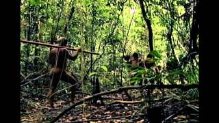 Institucional  Viagem pela Amazônia  Amazon Sat