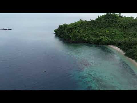 "Coco - Lips" - 08I09