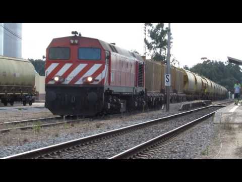 Comboio dos cereais no Ramalhal