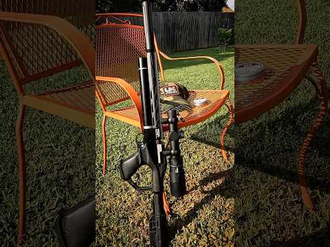 Umarex NOTOS - REVIEW! 22 CAL BUDGET PCP AIRGUN