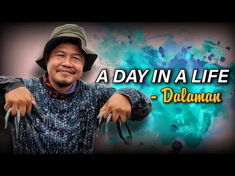 A Day In A Life - Dalaman