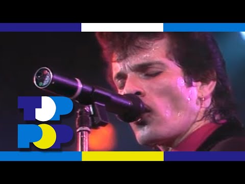 Mink DeVille - Demasiado Corazon (Too Much Heart) - Live in 1985 • TopPop