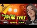 SYAHIBA SAUFA PELAS TERI COVER FT ADER NEGRO Live Tapanrejo
