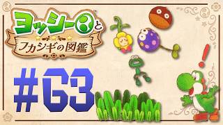 どこに隠れてるの？ヨッシーのかくれんぼ大会！『ヨッシーとフカシギの図鑑』を実況プレイ！ #62