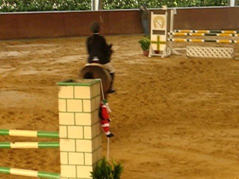 Carolina Oliveira e Carmo - Terencio