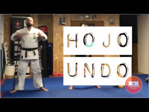 Upper body Hojo undo