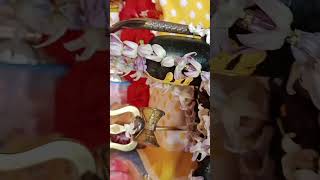 Download lagu @TheBabusFamily #love#video#song #vlog #viral #viralvideo #viralshorts #shortvideo #youtube #yt mp3 Download lagu @TheBabusFamily #love#video#song #vlog #viral #viralvideo #viralshorts #shortvideo #youtube #yt mp3