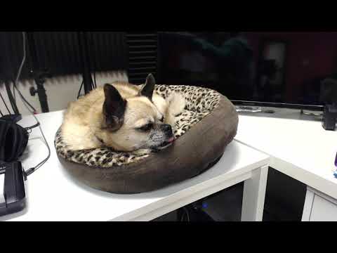 Vocal Breaks and Voice Cracks Exercises to Get Rid Of Them