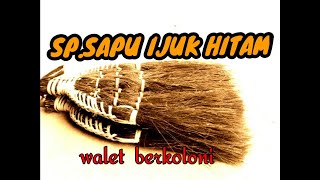 Download lagu suara walet kejar koloni⁉️SP.SAPU IJUK HITAM mp3