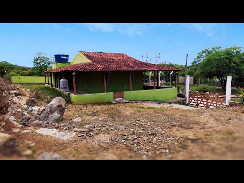 OPORTUNIDADE: Vende-se 3 Hectares Escriturado em Passira/PE com Água de Graça 