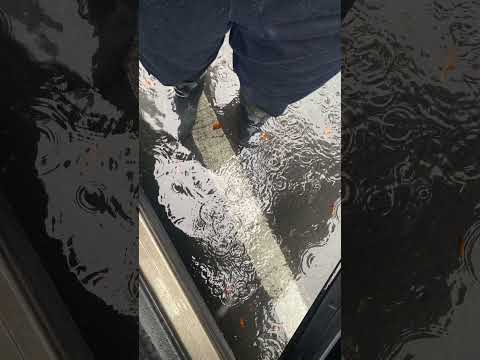 EGE Smiley x 438 Tok - No Hook 2 (SLOWED)