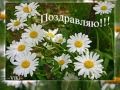 С ДНЕМ РОЖДЕНИЯ, РОМАШКА!!! 