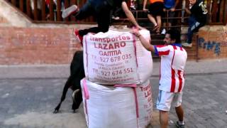 preview picture of video 'Vaquilla del Aguardiente parte 2 - Fiestas de la Aceituna 2014'