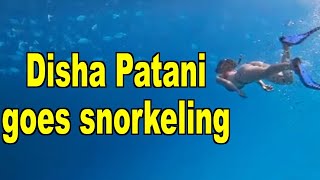 Disha Patani goes snorkeling in Maldives