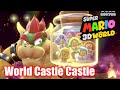 Super Mario 3D World World Castle Castle Bowser S Lava Lake Keep All Stars Stamp 100