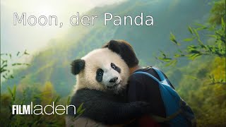 Moon, der Panda - Trailer