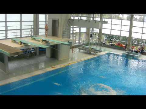 TPSK diving köln (cologne) Turmspringen,Wasserspringen