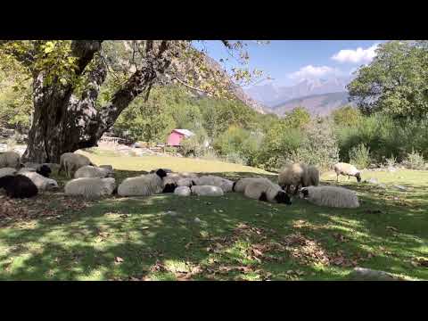 Scenic & Beautiful landscapes of Pakistan feat  Daniel Levi Cartoon On & On NCS Release