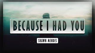 Shawn Mendes - Because I Had You [Lyrics] 🎵