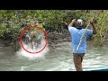 6 Tiger Encounters That Will Make You Panic