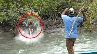 6 Tiger Encounters That Will Make You Panic