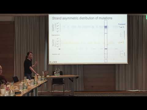 Sarah Aitken - Re-running cancer evolution in vivo to disentangle DNA damage and repair