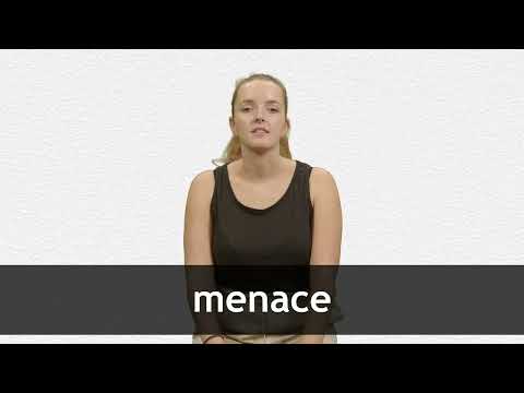 Menace  meaning of Menace 