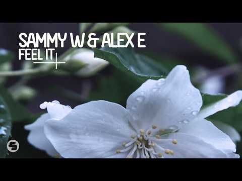 Sammy W & Alex E - Fucked Up (Original Mix)