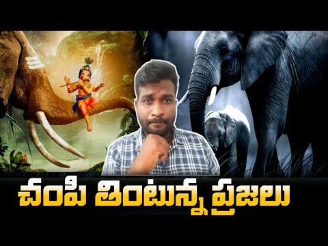 Zimbabwe kill elephants|| Zimbabwe news telugu