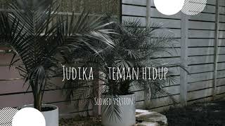 Download lagu Judika - Teman Hidup ( slowed version) mp3