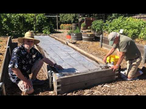 Soil Solarization: Control Soilborne Pests