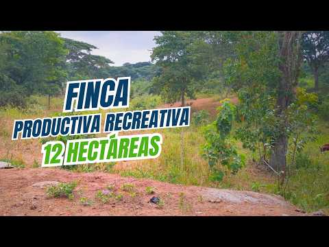 🌴Finca en Venta Estero Medina, Santa Rosa, El Oro | 12 Hectáreas