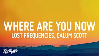 Lost Frequencies & Calum Scott - Where Are You