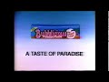 Bubblicious Paradise Punch Gum Television Commercial 1989
