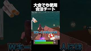 大会でも合法チートを使う配信者【フォートナイト/Fortnite】