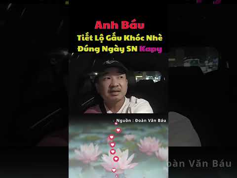 Mr. Bear was dry when KaPy called #doanvanbau