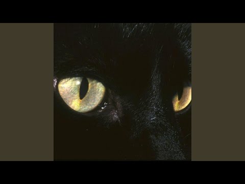 Time to Clear Your Head