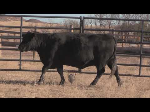 harvest 390 ZR002 390