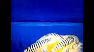 Edgar Winter and Rick Derringer-Diamond Eyes