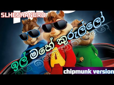 il Mahe Kurullo |ඉල්මහේ කුරුල්ලෝ - Nisala Kavinda | Akiiy | @YuKIBeatZ |#slheshanbro