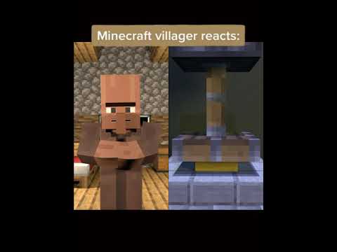 Andy's Animation - Minecraft Villager Reacts (Minecraft Animation) [WARNING: Quick Images]
